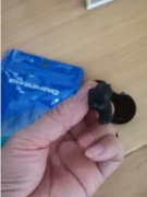 二手游泳用品折扣出售 - 优质装备，不容错过！